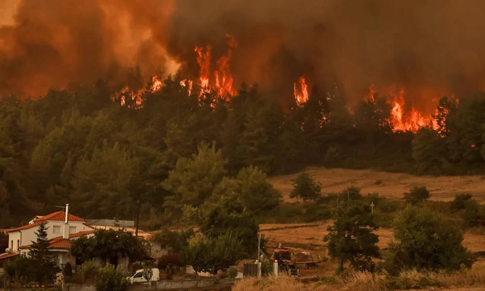 Εύβοια: Δηλώσεις αναστολών συμβάσεων εργασίας - Πώς θα υποβληθούν